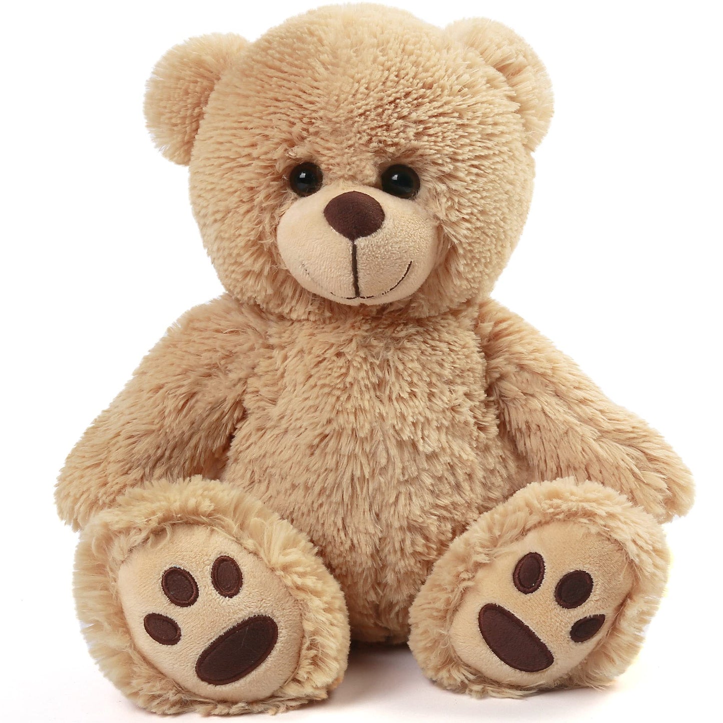 Teddy bear (colors may vary)