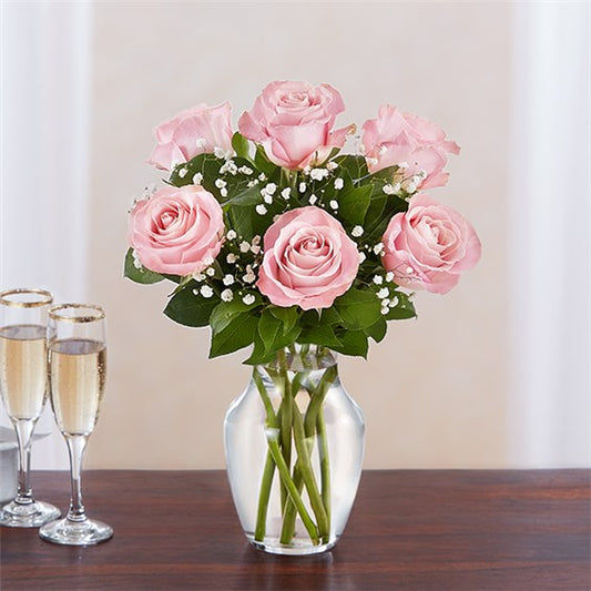 Valentines Day Rose Elegance Pink Roses