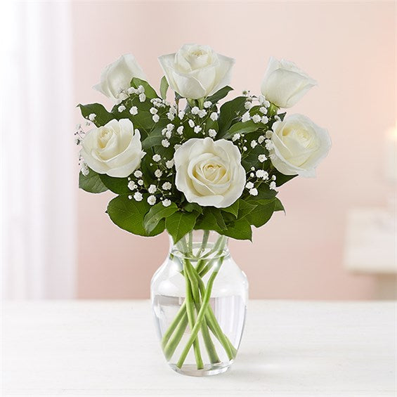 Rose Elegance - White Roses