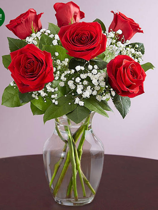 Rose Elegance red